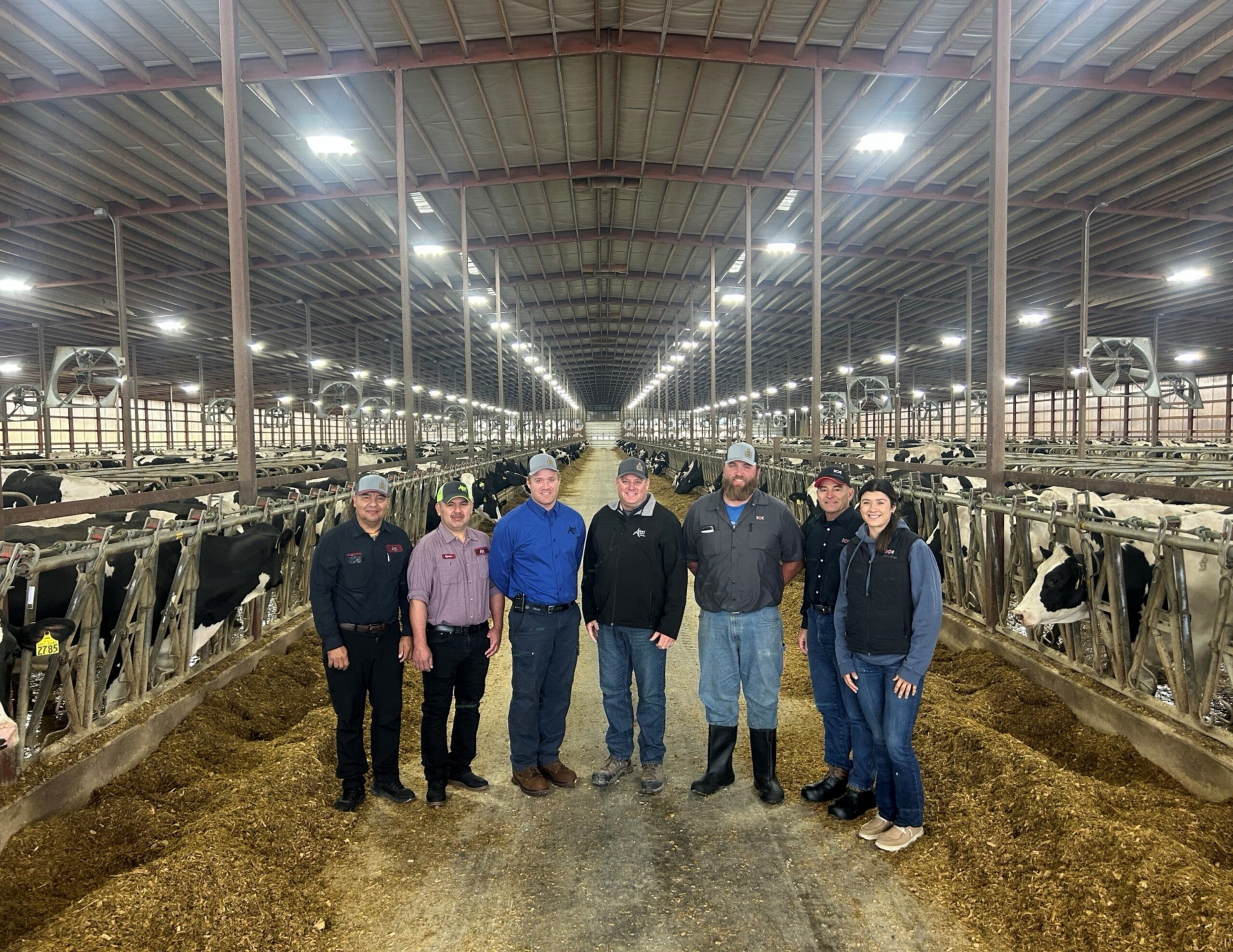 Wisconsin Dairy Herds Recognized For Reproductive Excellence - Mid