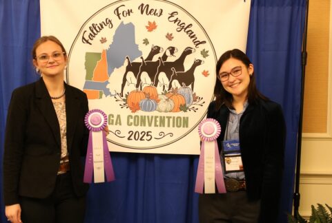 Holmen Native Selected For ADGA Youth Rep