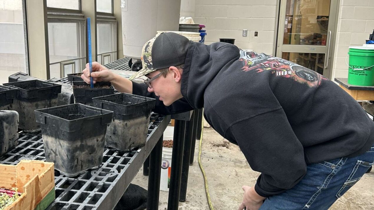 21 Students Earn…</p><hr /><p class=