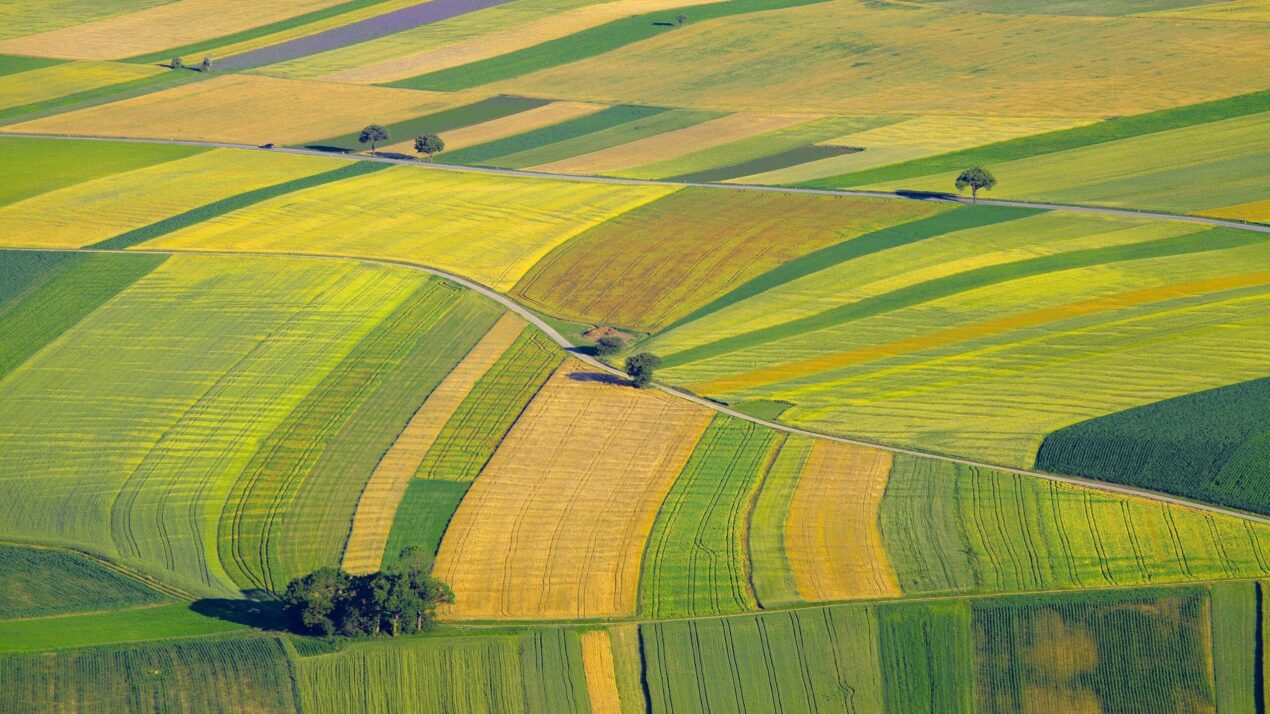 Big Farmland Shift In Next 20 Years