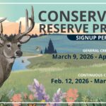 Continuous and General Conservation Reserve Program Enrollment Open
