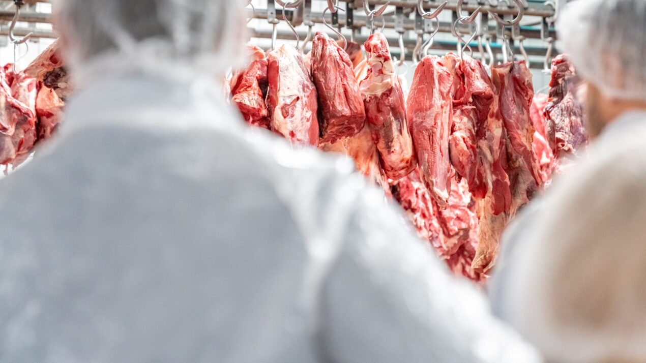 USDA Announces Investments For Small Meat Plants