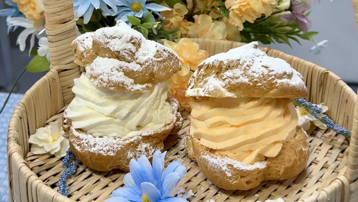 美品✨2024年 デイジーリン Cream Puff ブラウス クリームパフ Celebrate Spring With The Orange Dream Puff - Mid-West Farm Report