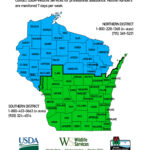 Navigating The Wolf Damage Loss Reimbursement Process