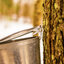 Change In Weather Patterns Shorten Maple Syrup Season