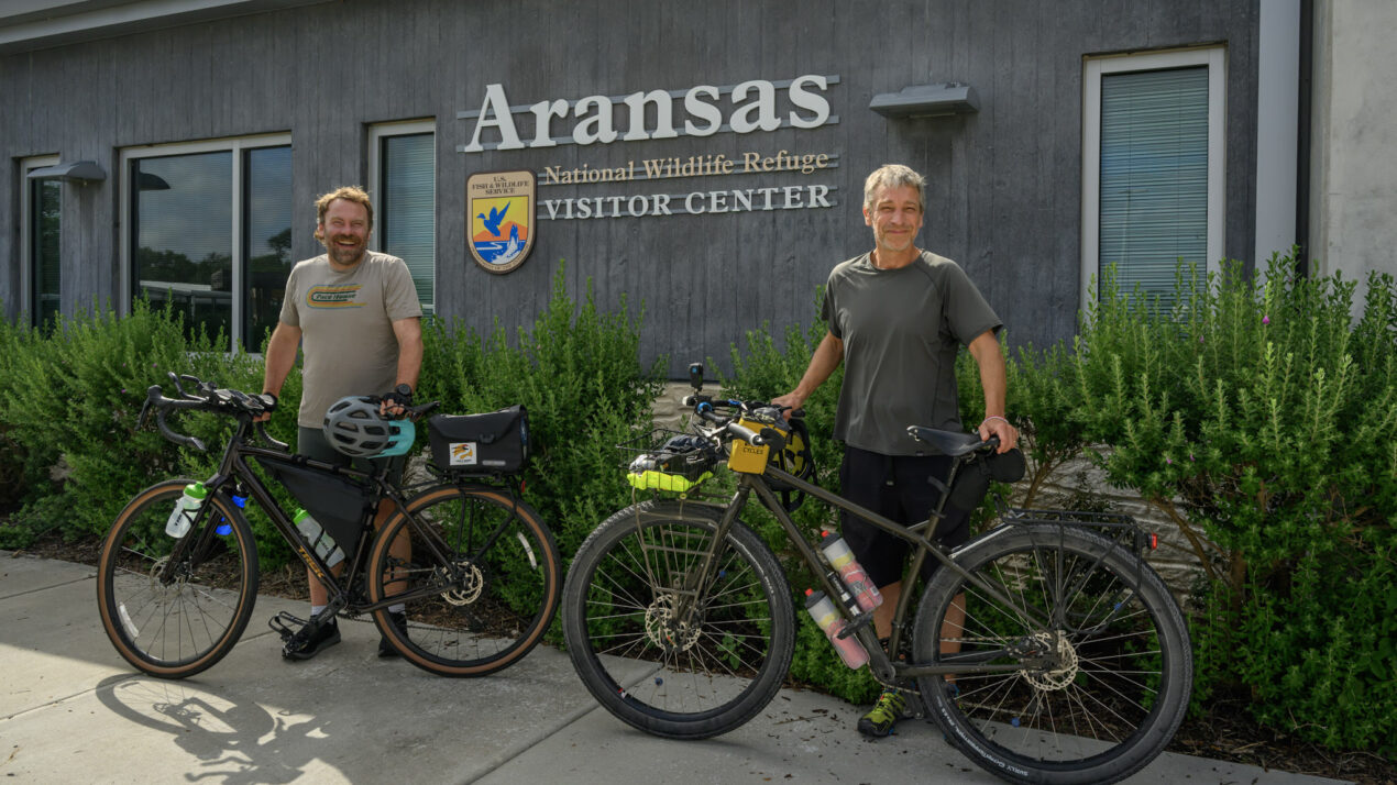 A 2,500 Mile Bike Ride To Save Whooping Cranes