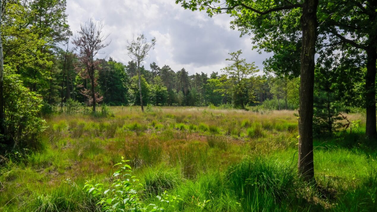 160 Acres Of New Learning Opportunities