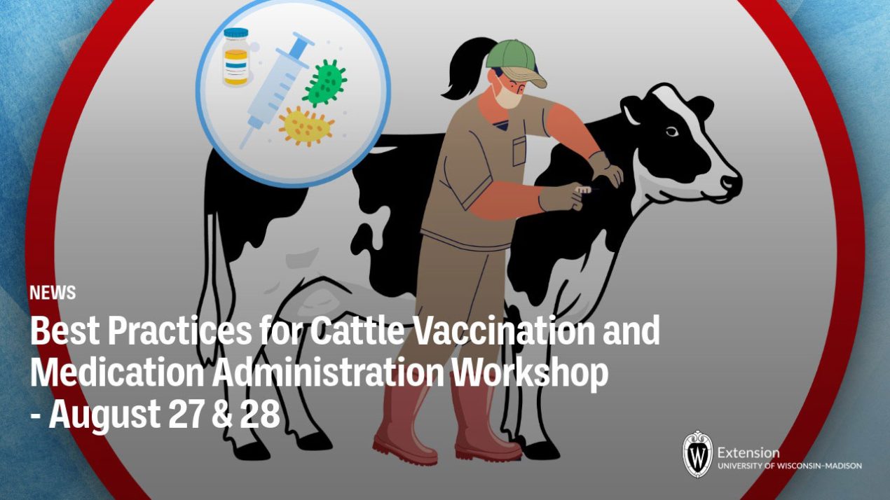 Spanish & English Cattle Vaccination & Medication Available
