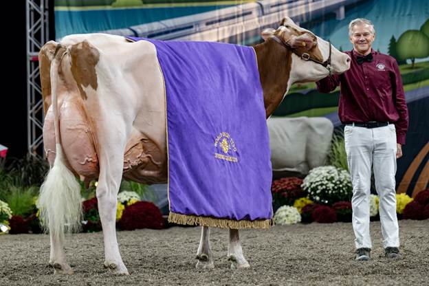 Cattle Entries Open For World Dairy Expo