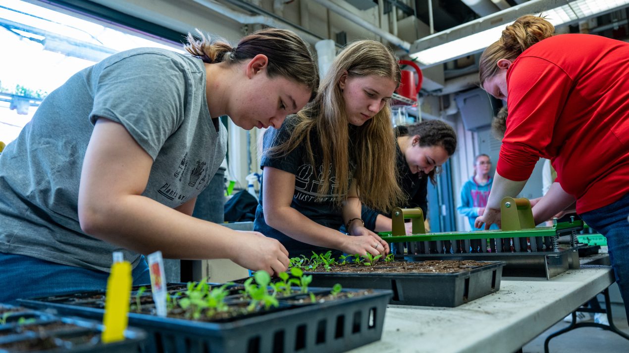 Board of Regents Approves Two New UW-River Falls Agricultural Facilities