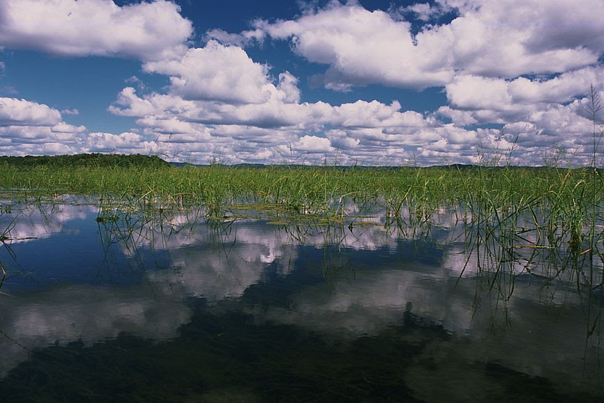 Protecting Wild Rice Beds