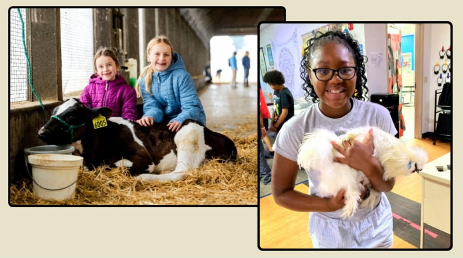 Third-Grade Teacher Brings Wisconsin Agriculture to Life in Her Classroom