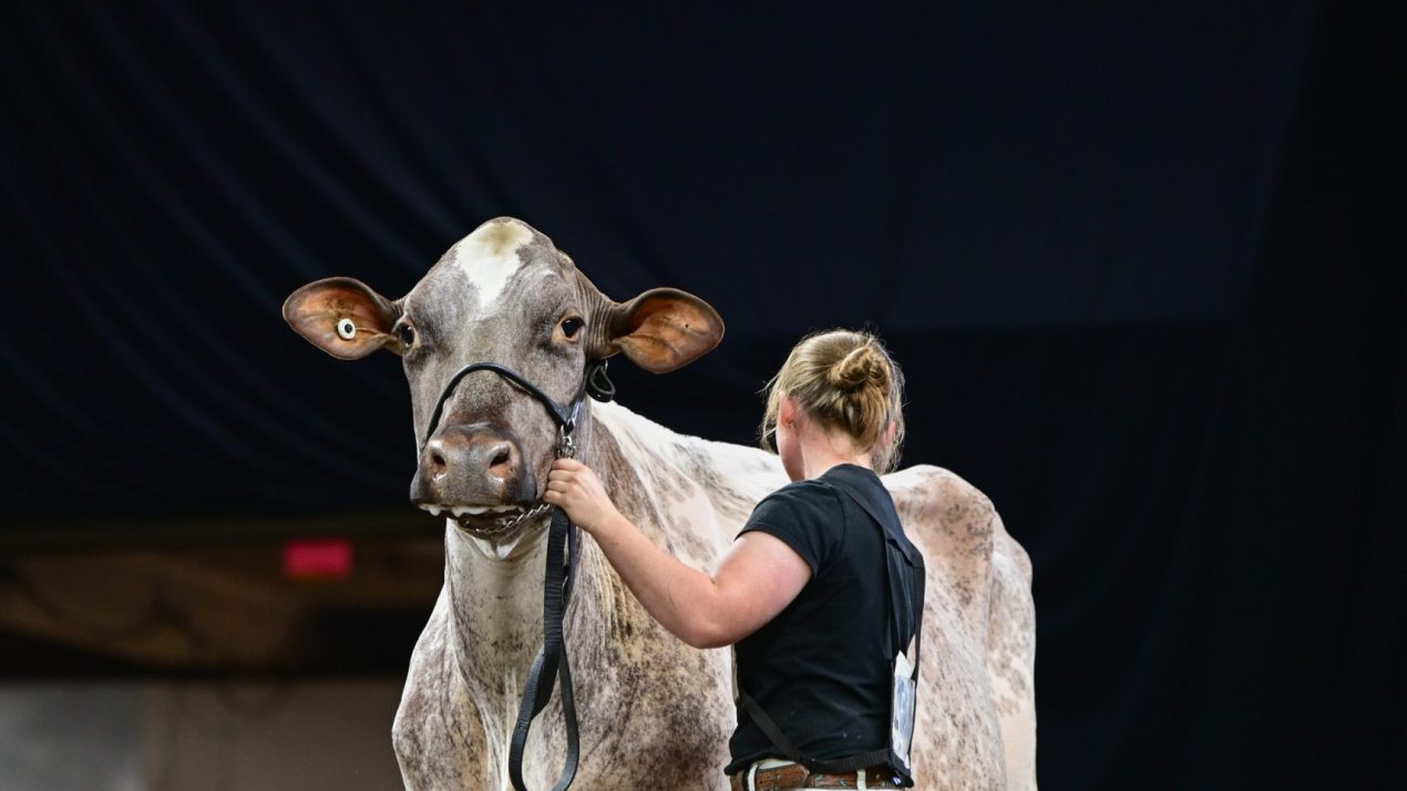 Plan Your Trip To World Dairy Expo