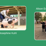 Beaver Brook Badgers 4-H Club Fosters The Next Generation Of Agriculturalists