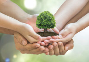 Tree,Planting,On,Volunteer,Family's,Hands,For,Eco,Friendly,And
