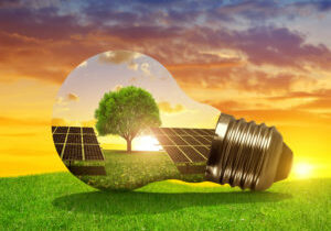 Solar,Energy,Panels,In,Light,Bulb,At,Sunset.,The,Concept